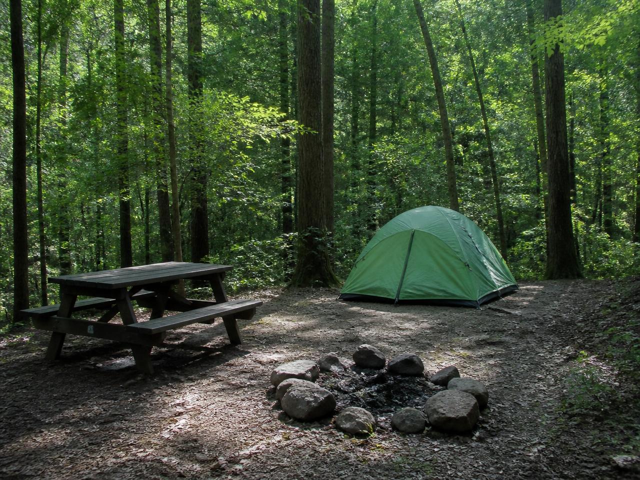 A private wooded tent site with picnic table and stone fire ring