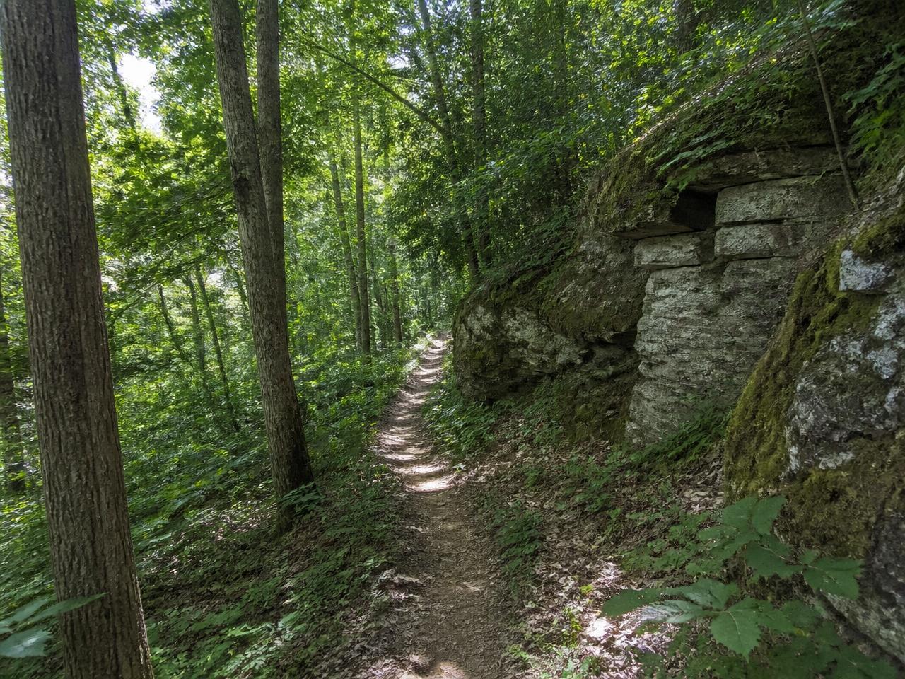 Dirt hiking trail beside a limestone outcrop in the hardwoods